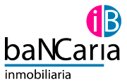 A blue and pink logo with the word dbi.
