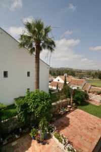 A garden with a palm tree near Alicante.