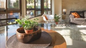 A 128m2 apartment in the center of Alicante with a potted plant in the living room.