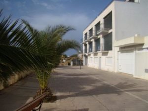 A building with a palm tree in front in Menorca.