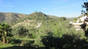 A hillside villa with trees and bushes in the Jalon Valley.
