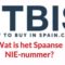 Wat is het NIE-nummer in Spanje?