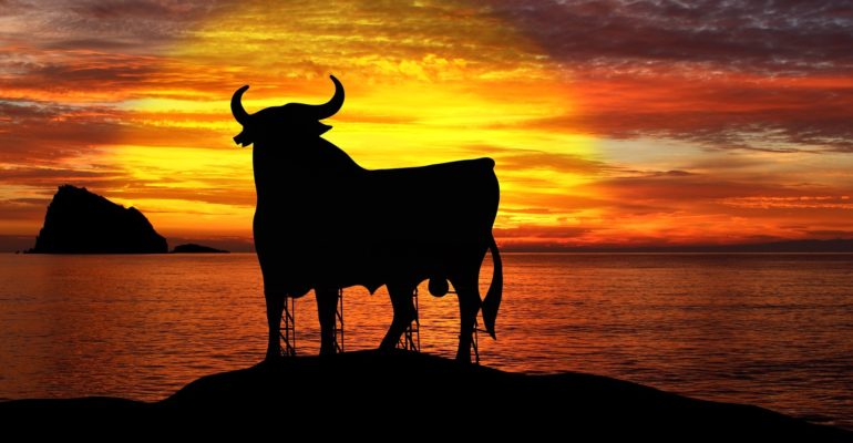A bull standing in front of a sunset, symbolizing the tax residence in Spain.