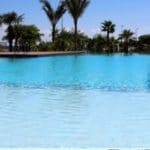 An image of a swimming pool with palm trees in the background located in Costa Blanca South, Mil Palmeras.