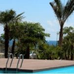 A Mil Palmeras swimming pool with palm trees and Costa Blanca South ocean view.