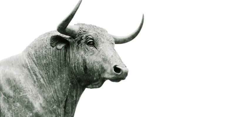 A white background showcases a bull statue, an investment in Spanish property.