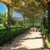 A garden pathway with trees and vines leads to a new build Higueron West apartment for sale in Fuengirola.