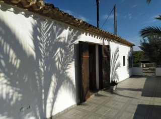 A Murcia property investment with a palm tree in front of the house.