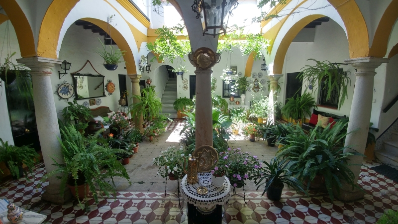 Keywords: courtyard, potted plants, arches

Modified Description: A San Roque New Build apartment with a beautiful courtyard adorned with potted plants and arches.