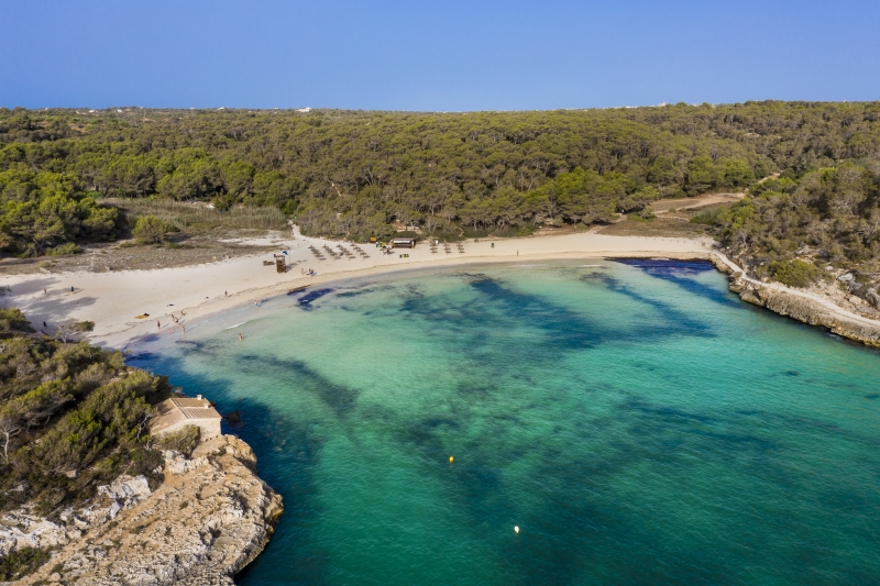 An aerial view of a sandy beach in the middle of a forest, near the new build apartment in Cala d'or.