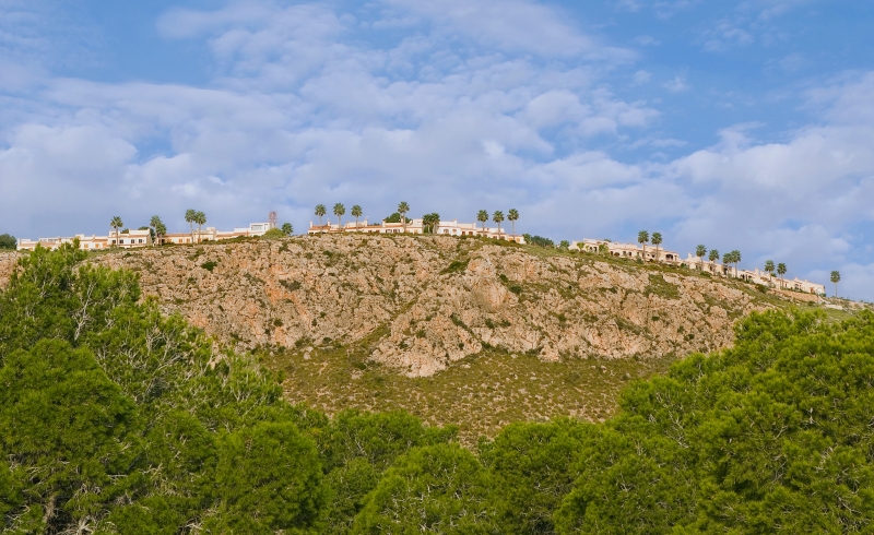 A hillside with cheap Alicante properties for sale and trees on it.