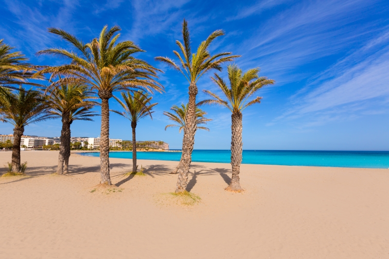Palm trees on a sandy beach with blue water in Alicante, Spain.