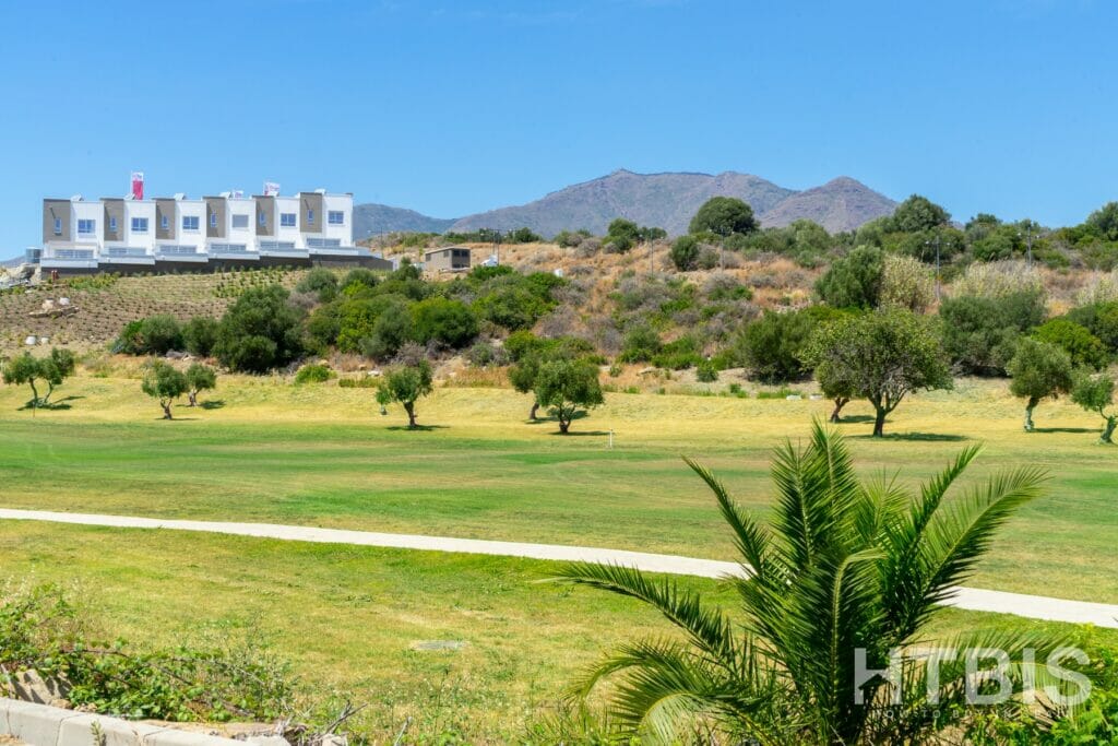 A golf course with palm trees and mountains in the background, located near Townhouse Estepona.