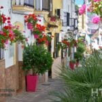 A narrow street lined with pink flower pots in Estepona.