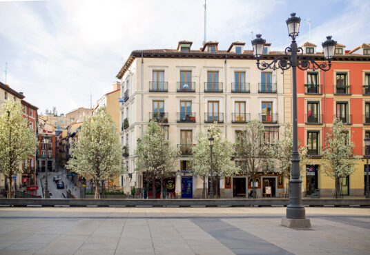 A pedestrian street in Madrid