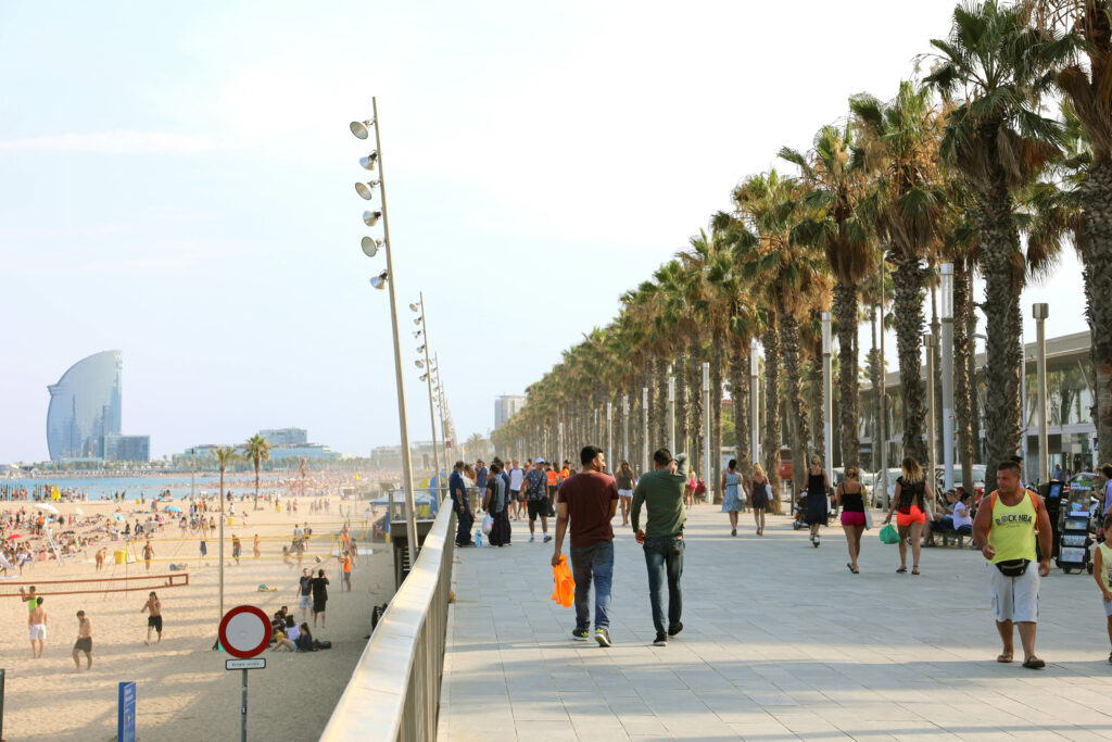 Discover the Spanish Costas as you stroll along a promenade lined with palm trees near a sandy beach on a sunny day.