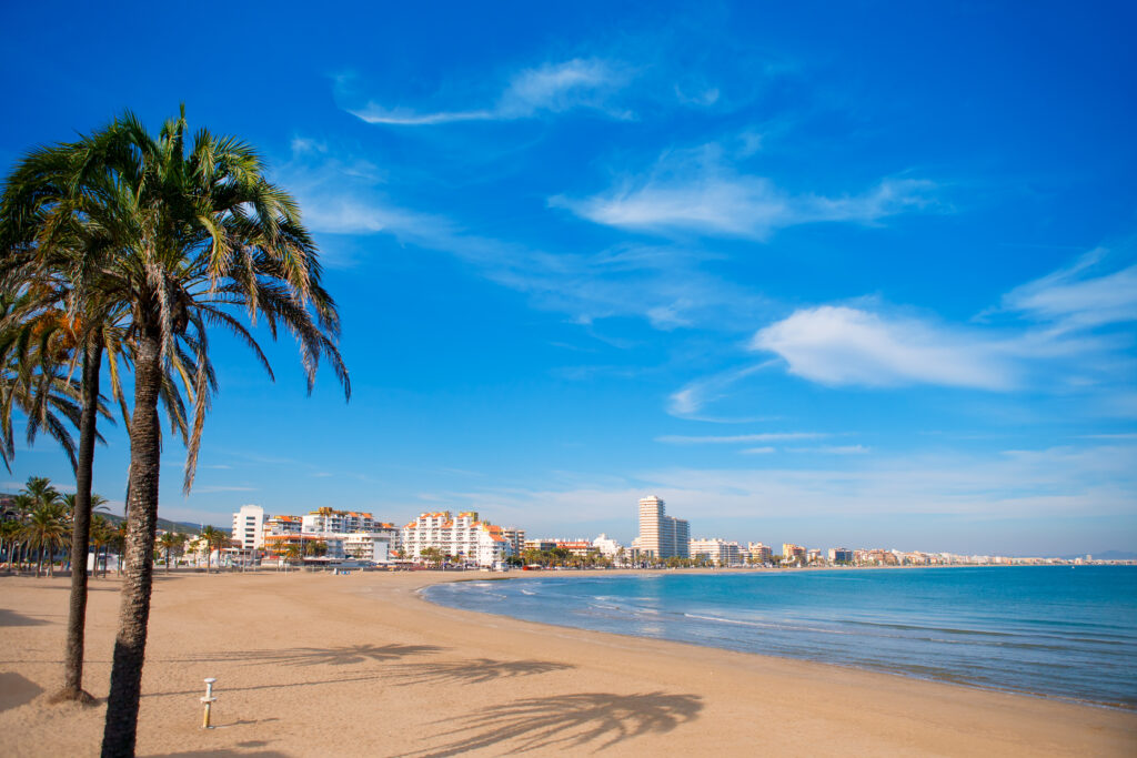 A wide sandy beach with palm trees in the foreground, ocean waves, and a distant cityscape under a clear blue sky, reminiscent of the stunning Costa Blanca along the Spanish Costas.