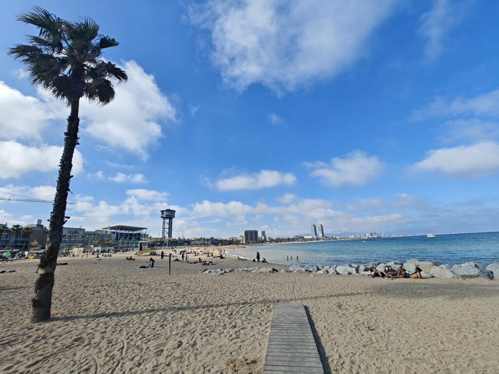 The sandy beach of Barcelona with scattered people, a palm tree in the foreground, city buildings and with on the background the Hotel Arts.